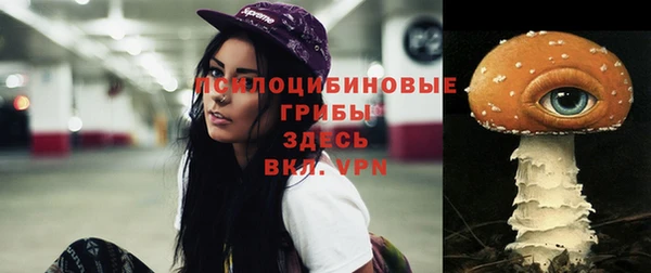 мдпв Медвежьегорск