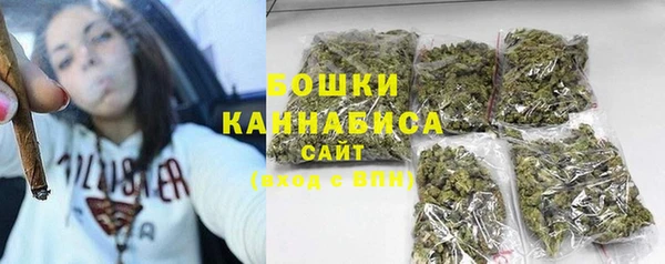 шишки Михайлов