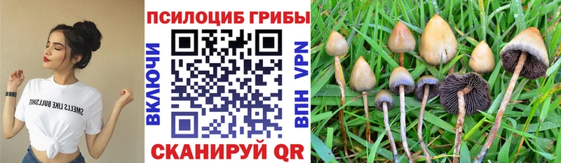даркнет сайт  Прокопьевск  Галлюциногенные грибы мухоморы 
