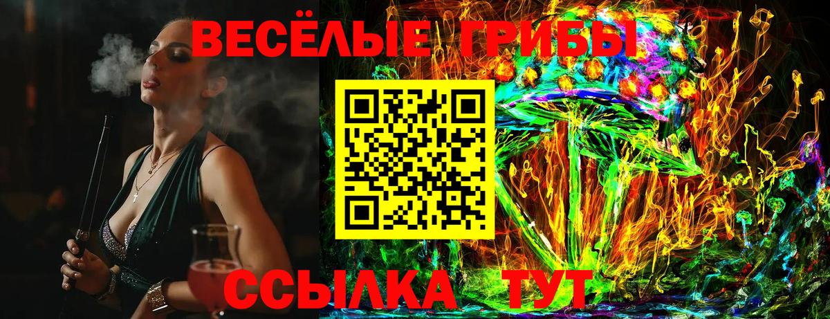 Псилоцибиновые грибы MAGIC MUSHROOMS  Вход с VPN  Прокопьевск 